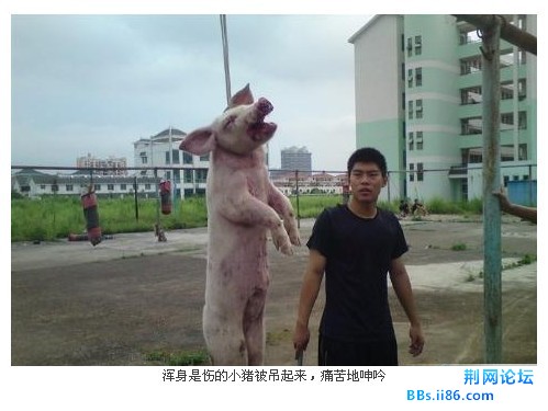 未命名1.jpg