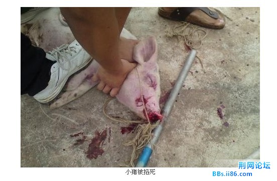 未命名2.jpg