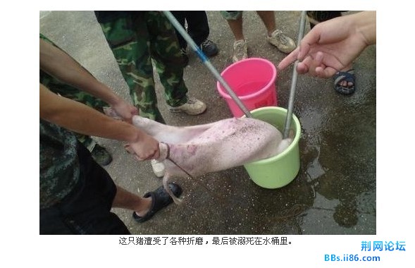 未命名5.jpg
