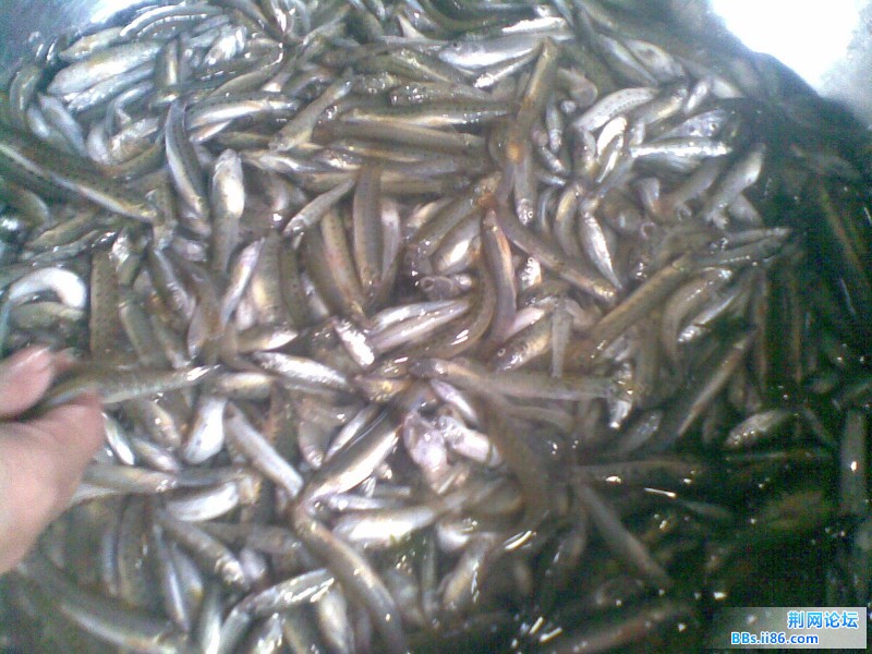 20110705.jpg