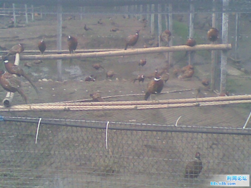 20110712(010).jpg