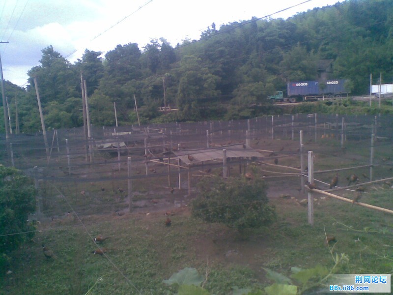 20110712(012).jpg