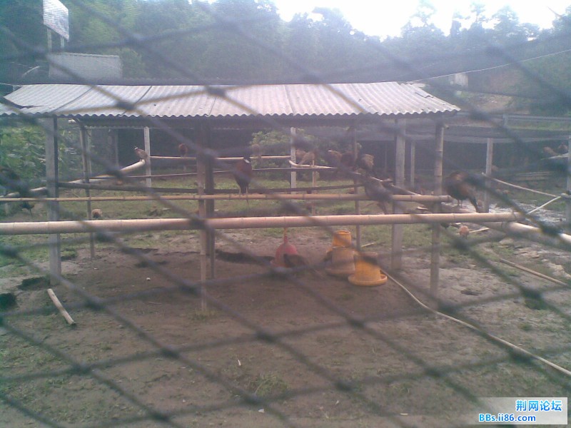 20110712(013).jpg