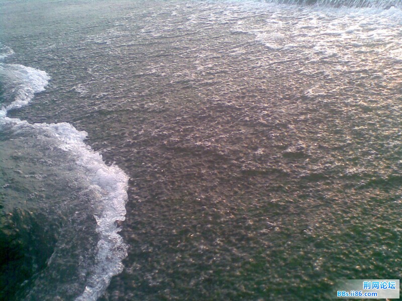 20110731(039).jpg