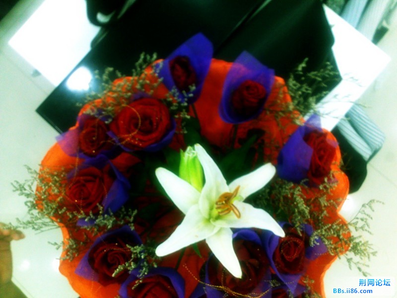 20110806668_副本.jpg