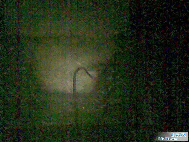 20110810.jpg