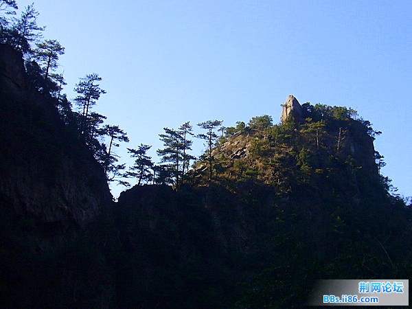 P1050008.JPG
