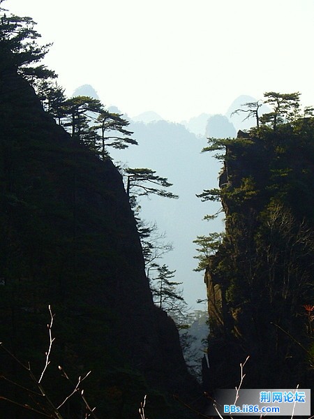 P1050015.JPG