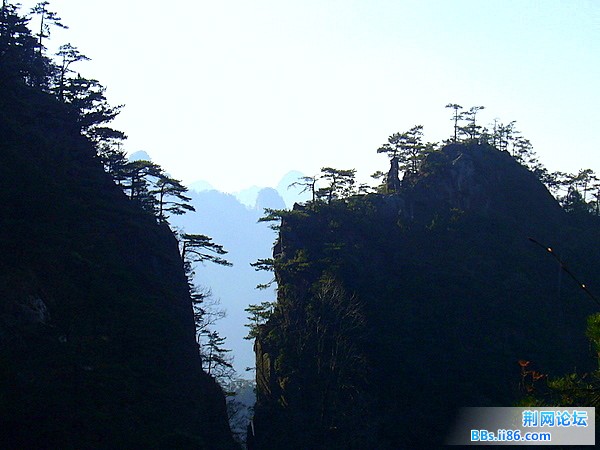 P1050016.JPG