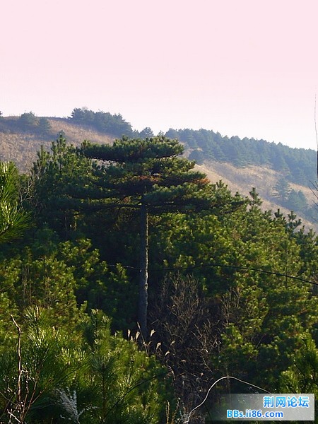 P1050046.JPG