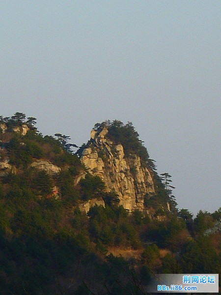 P1050075.JPG