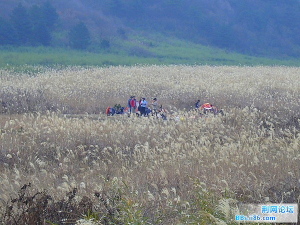 P1050094.JPG
