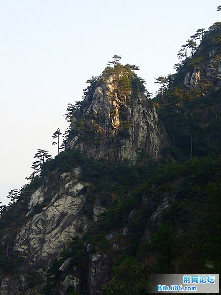 P1050125.JPG