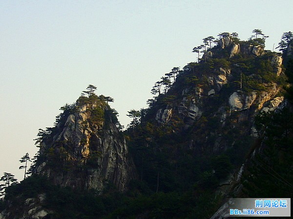 P1050126.JPG