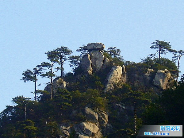 P1050135.JPG