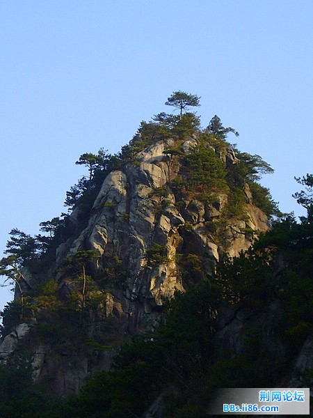 P1050136.JPG