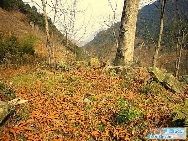 P1050160.JPG