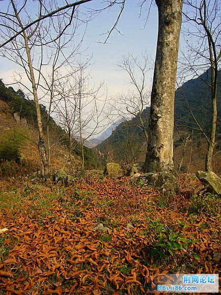 P1050161.JPG