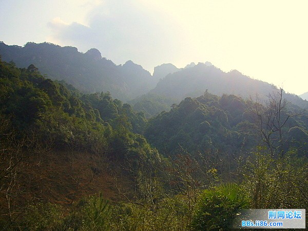 P1050162.JPG