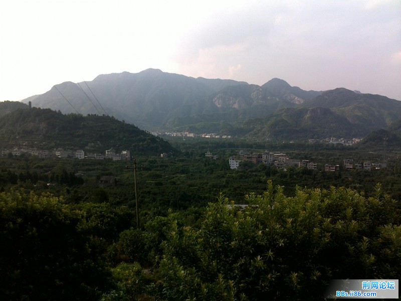 20110818362.jpg