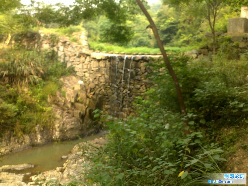 20110818688.jpg