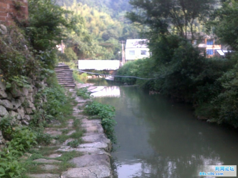 20110818690.jpg