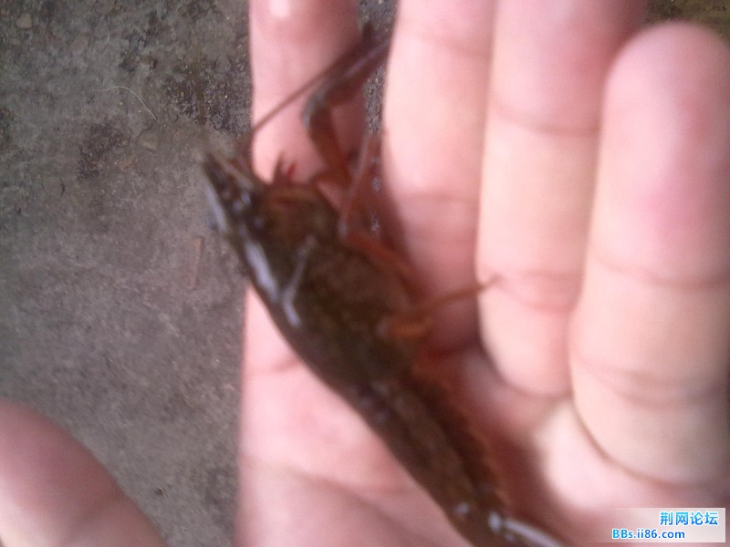 20110821940.jpg