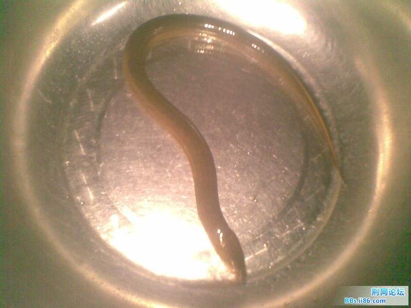 20110824.jpg