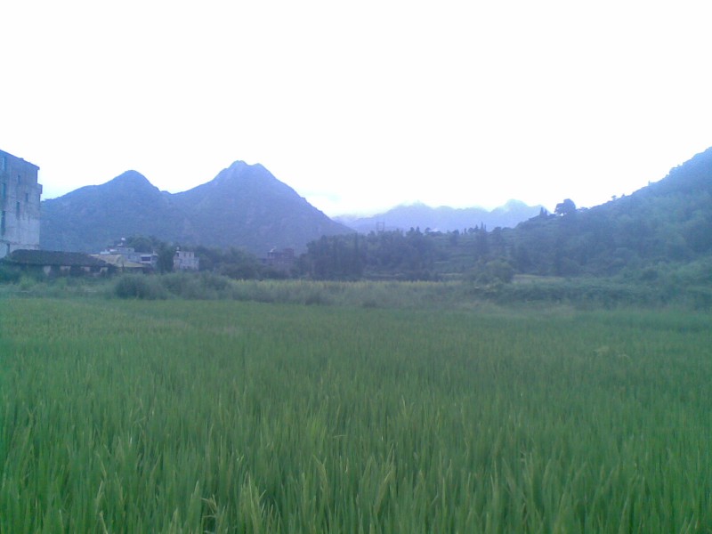 20110830.jpg