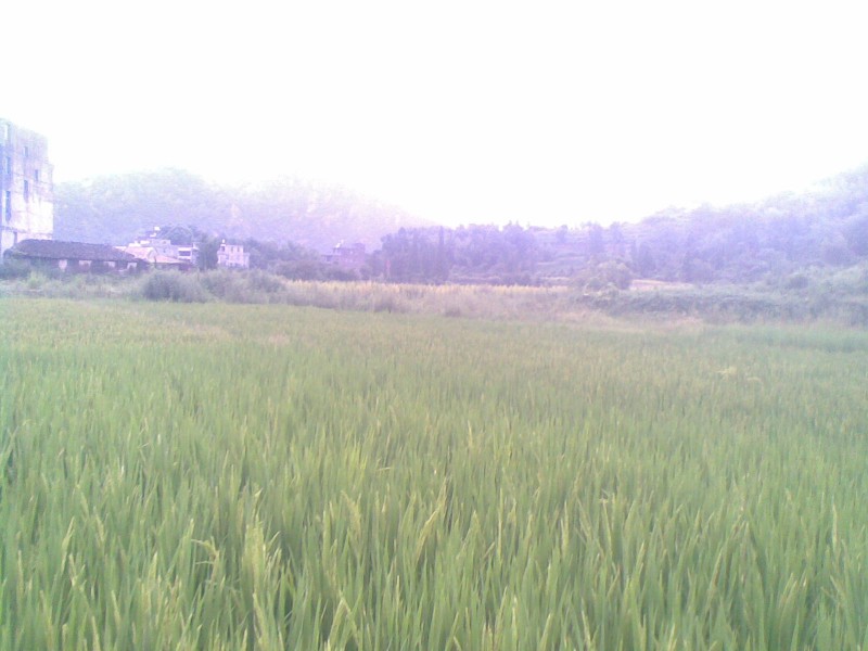 20110830(002).jpg