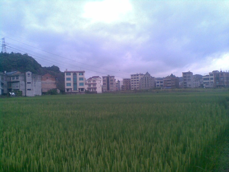 20110830(003).jpg