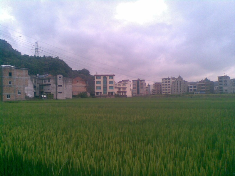 20110830(004).jpg