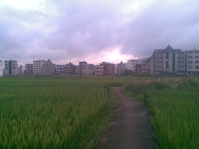 20110830(005).jpg