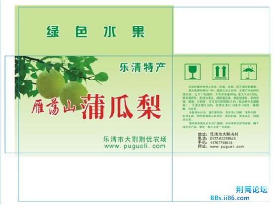 采摘蒲瓜梨