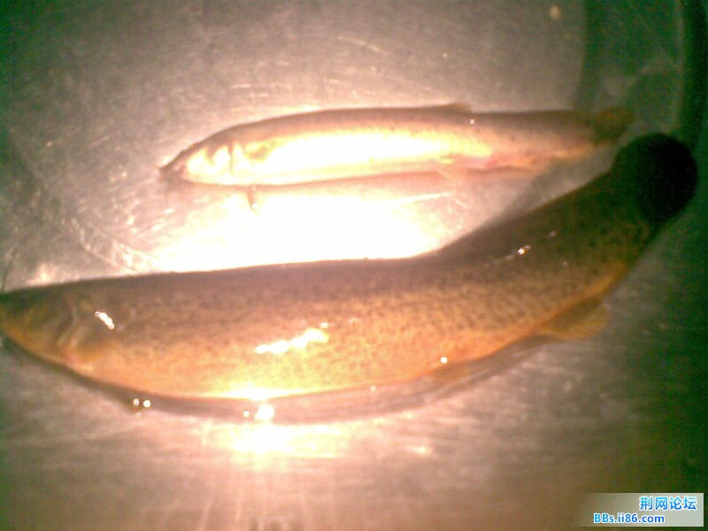 20110906(012).jpg