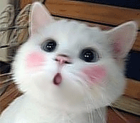 psu[1].gif