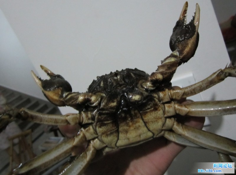 未命名.jpg