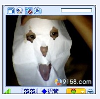 ]6OLQIP]OZA960[8GT%{$@D.jpg