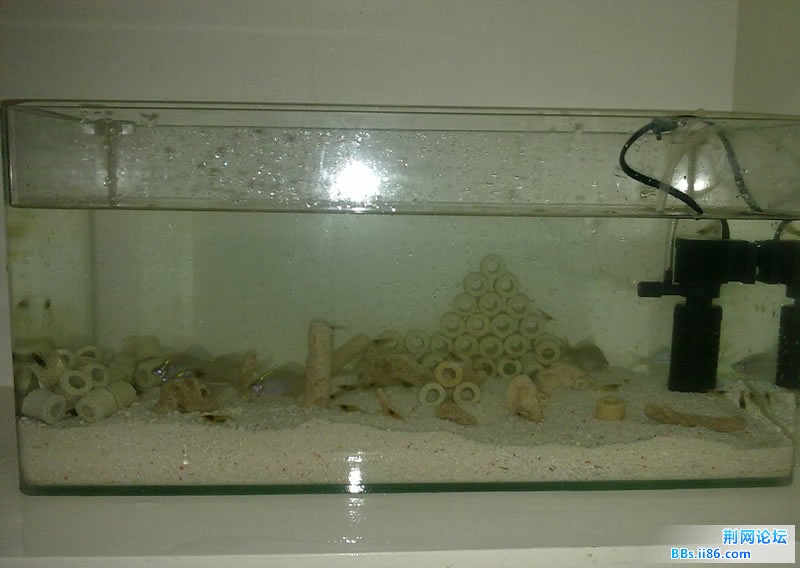20111117148.jpg