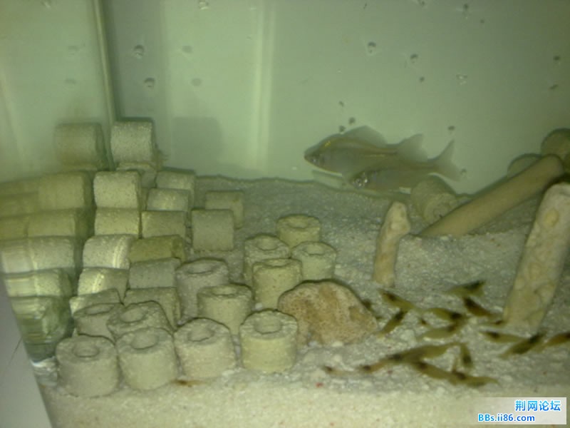 20111117154.jpg