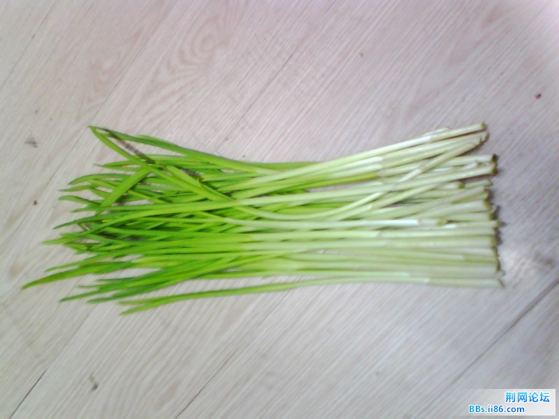 IMG0946A.jpg