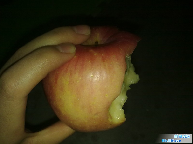 201112241354.jpg