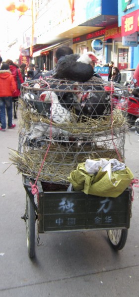 074203wr56ujuxmouxkxv5.jpg