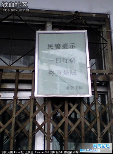 14374067.jpg