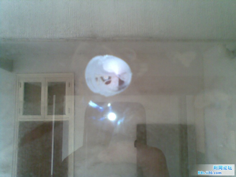 20120213.jpg