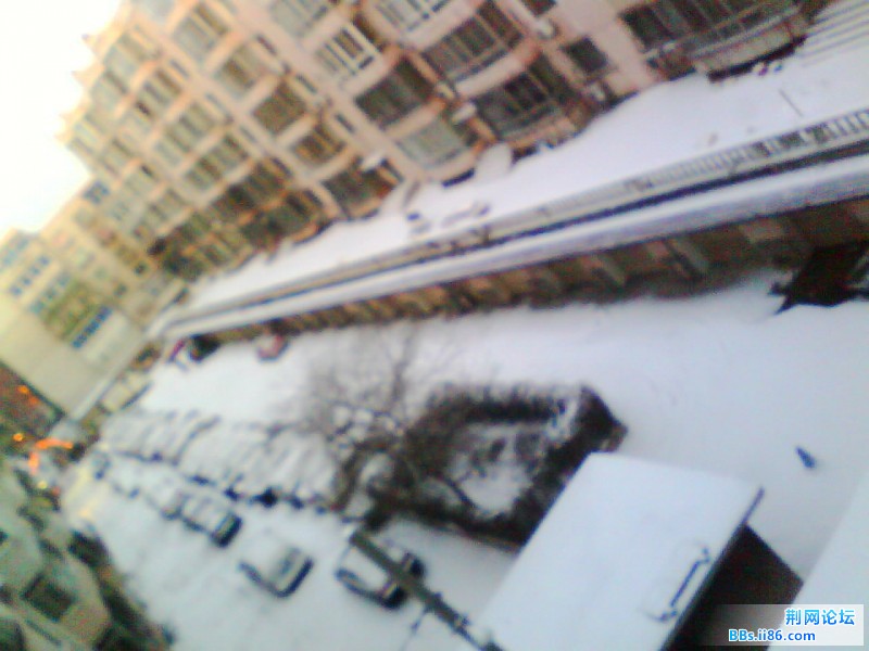 IMG1087A.jpg