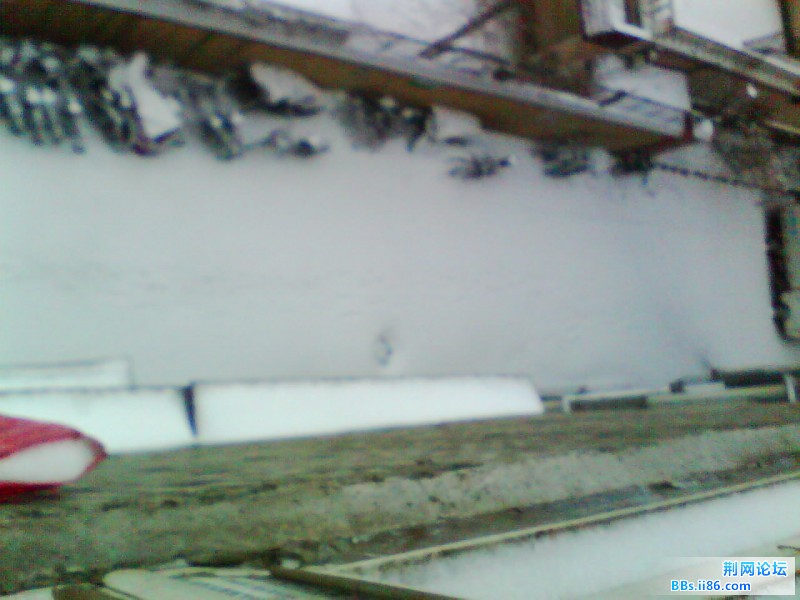 IMG1088A.jpg