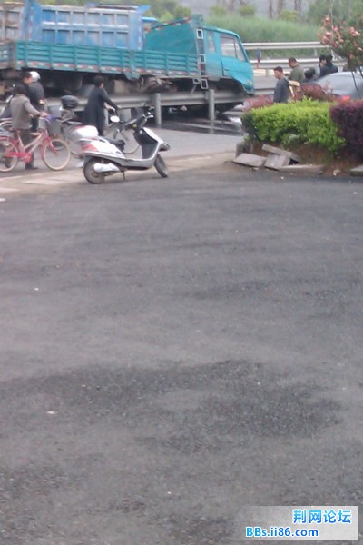 IMAG0206.jpg