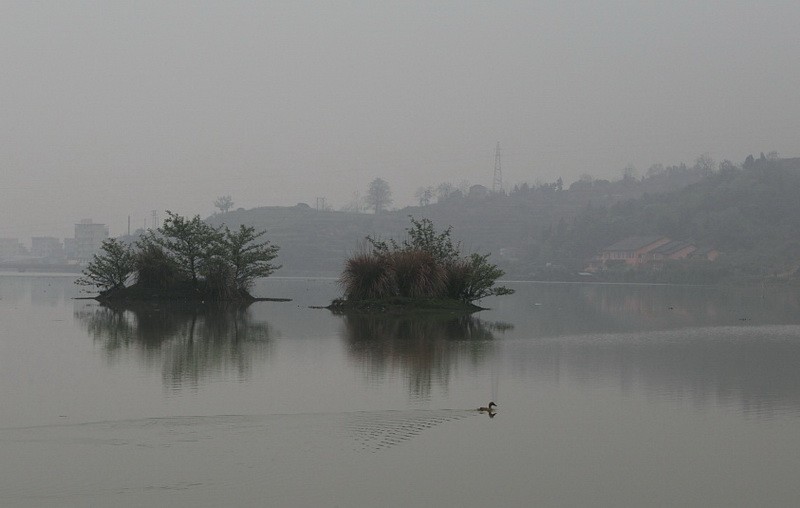 BI0E1312.jpg