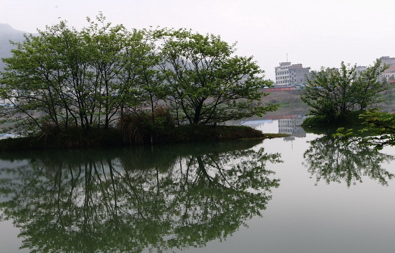 BI0E1335.jpg